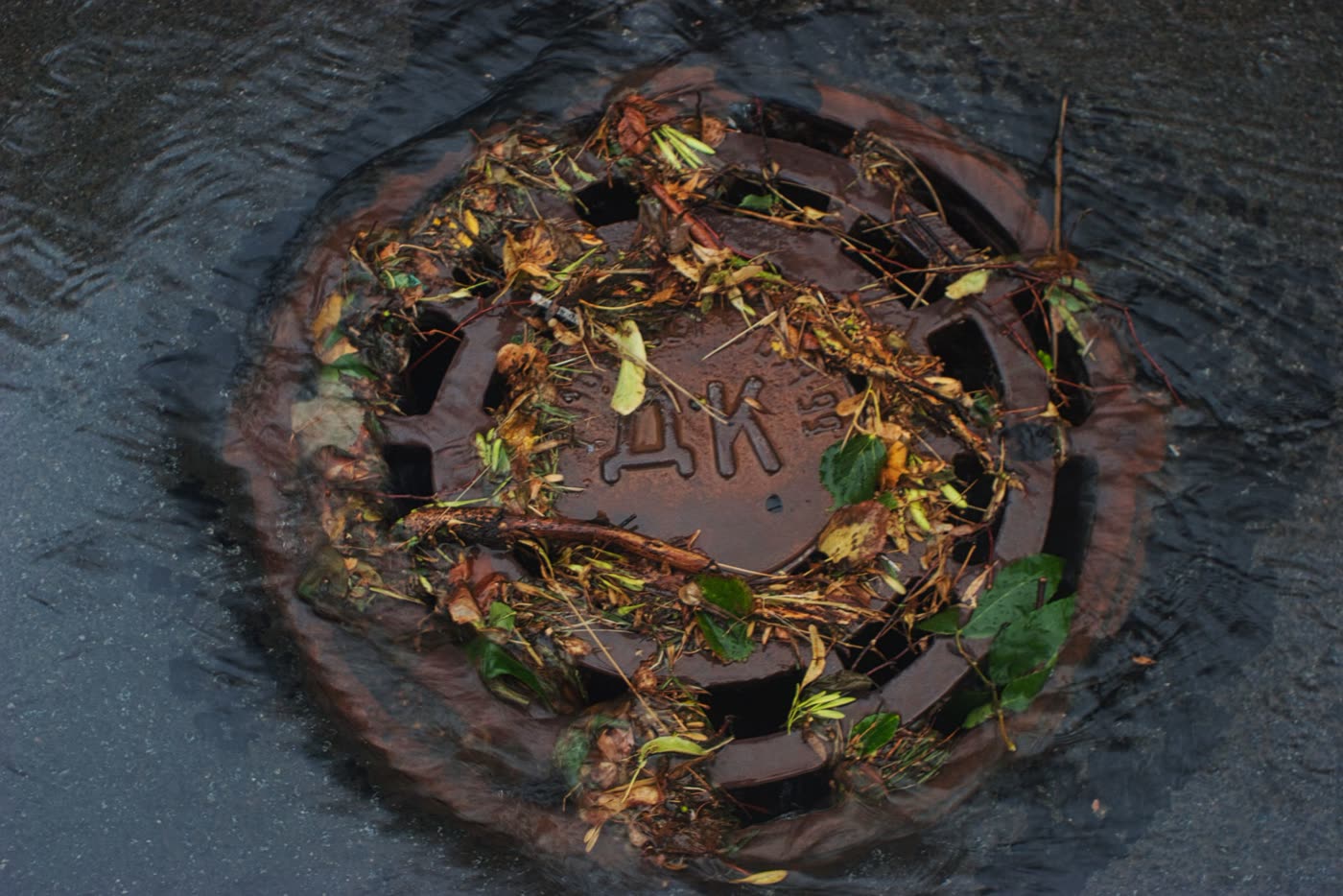 How do I know if I need my drains cleaned?